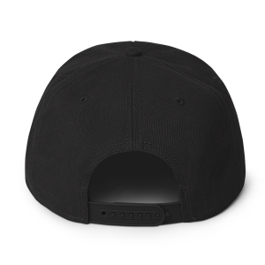 Snapback black back 681a80b6c9fd0.png